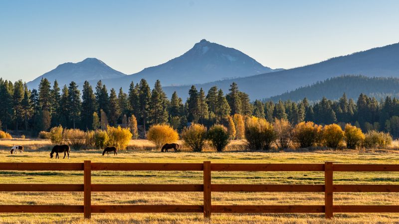 Rail Fence Replacement in Roseville, CA